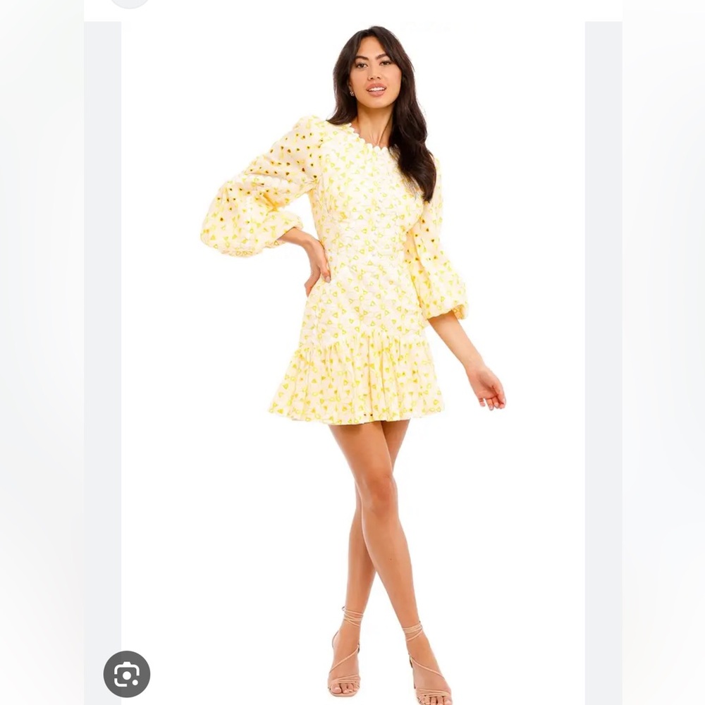 Acler walker dress - Picture 9 of 14